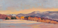 Fowler_Snow Shadows