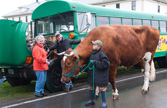 Fiddlehead Festival-9408