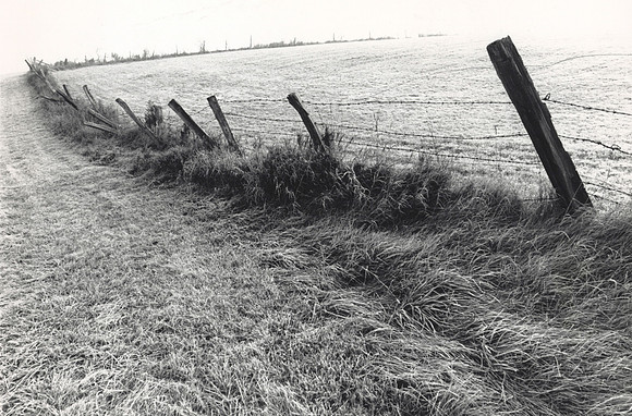 FenceElipse 10x15
