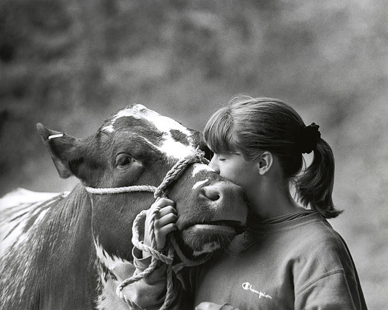CowKiss