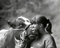CowKiss