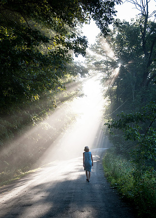 Morning Light_REC5993