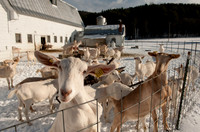 Farmers Recycle_REC7752