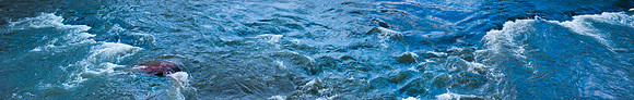 The White River-1