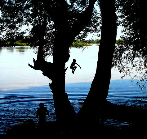 Mekong leap; Don Khon, Laos, 2008