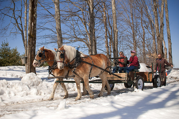 Sugaring-Turkey Hill-2002