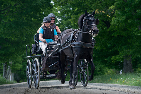 Nancy&Steve Dimick Driving_RED5927E