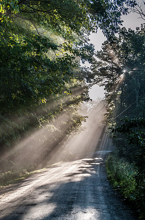Morning Light_REC5982