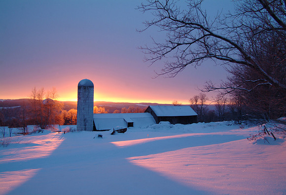 Winter
