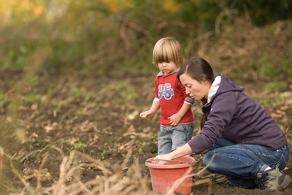 Potato Harvest-0716
