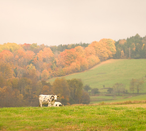 Farming