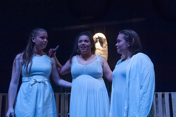 Much Ado About Nothing - Johnson State College 2016