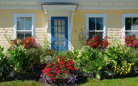 Rochester Flowers