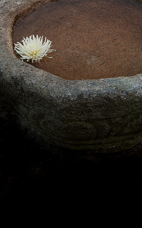 Garden_REB7283