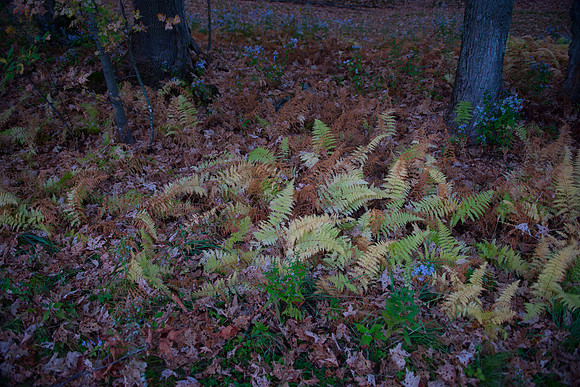 Fall Details_RED7075