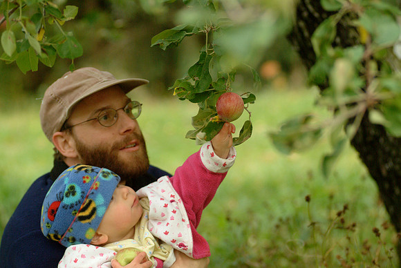 Apple Picking -Randolph Center