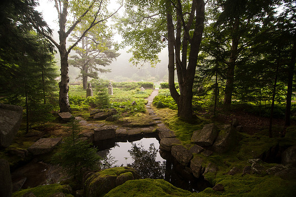 Garden_TCC3578