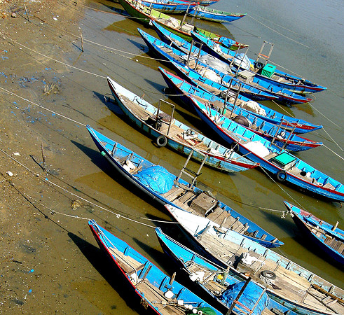 Estuary; Viet Nam coast, 2009