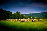 Farms
