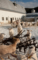 Farmers Recycle_REC7696