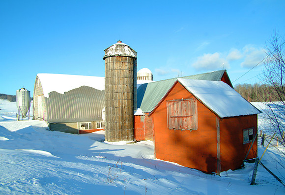 Winter Farm -Randolph Center