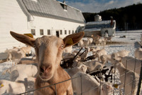 Farmers Recycle_REC7740