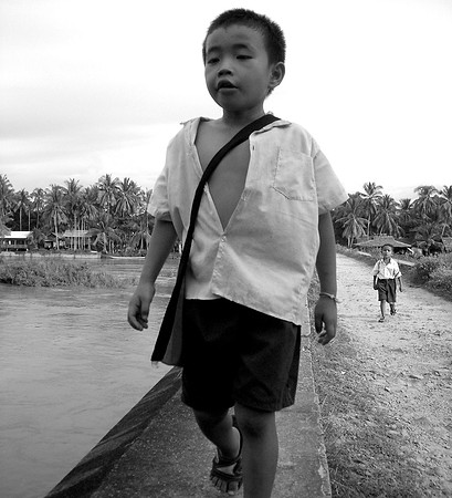 Boys walking home; Don Khon, Laos, 2008
