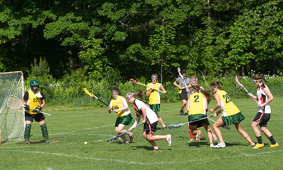 Chelsea Lax-2265