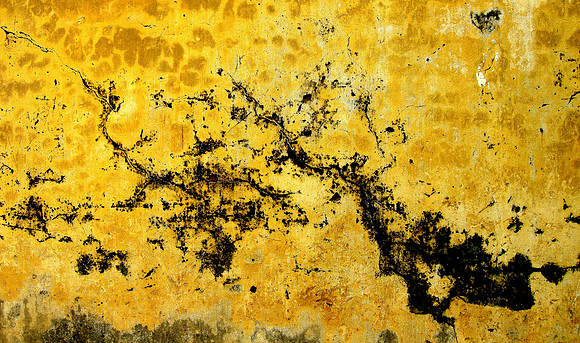 Wall; Hoi An, Viet Nam, 2009