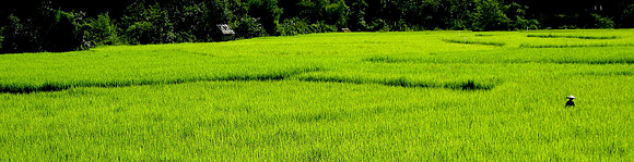 Farmer; Ban NaKaang, Laos, 2009