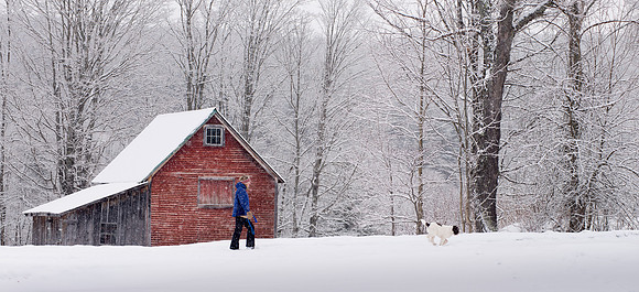 SnowDay_RED4436E
