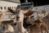 Farmers Recycle_REC7762