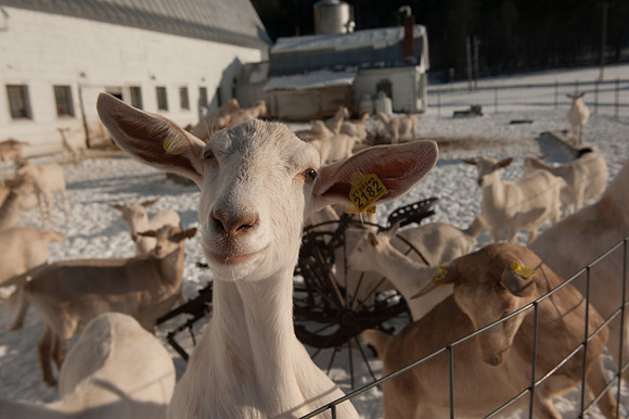 Farmers Recycle_REC7762