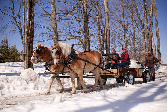 Sugaring-Turkey Hill-2002