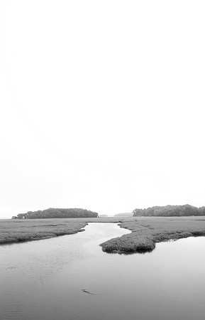 Tidewater
