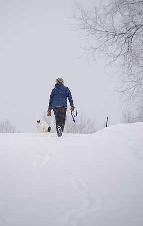 SnowDay_RED4396