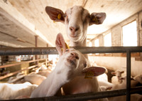 Farmers Recycle_REC7792