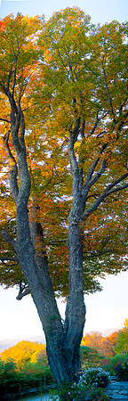 Fall Details_REC6171EE