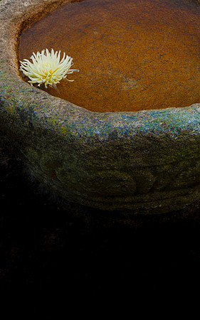 Garden_REB7283