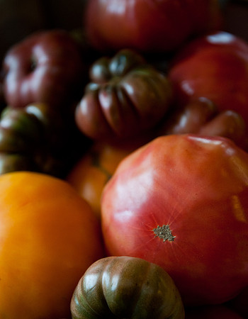 Cedar Circle Farm-7683