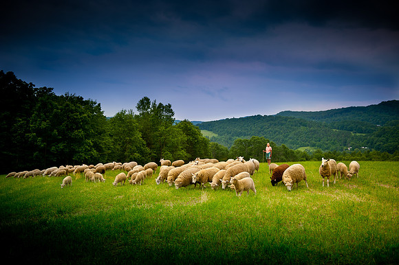 Rochat Farm-2420