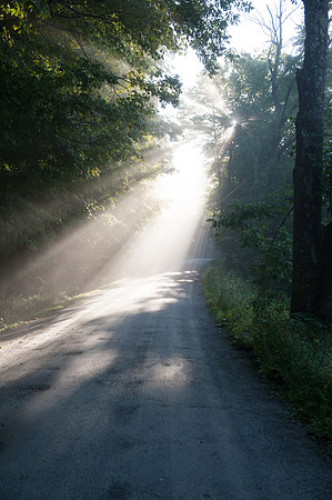 Morning Light_REC5980