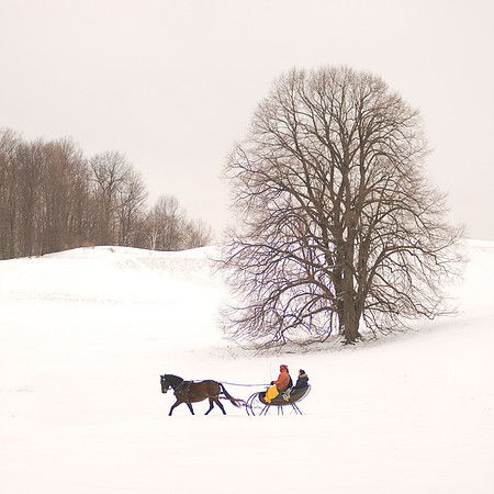 untitled-2-8