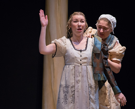Sense and Sensibility - LNT_RED0133