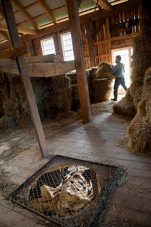 Thorncrest Farm, Goshen CT_REB9215