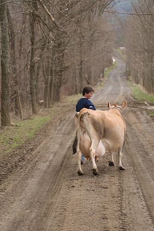 Reta Younge - Iron Will Farm - Wright NY