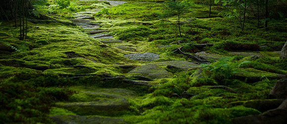 Garden_TCC3100