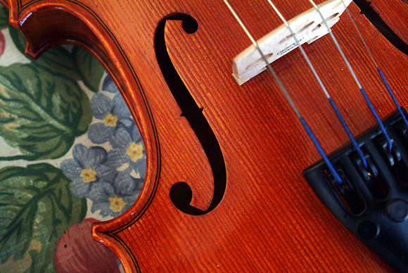 nw violin detail_