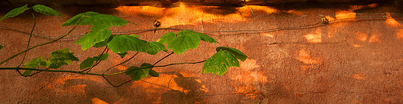 Garden_REB7400
