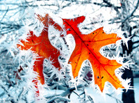 Fire and Ice 2